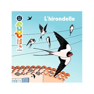 P'tits docs: l'hirondelle
