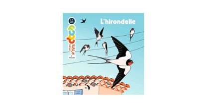 P'tits docs: l'hirondelle