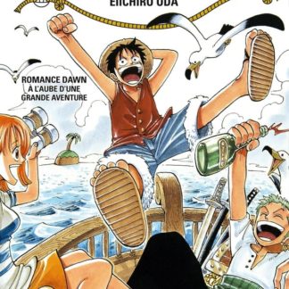 One piece T1: Romance dawn, à l'aube d'une grande aventure