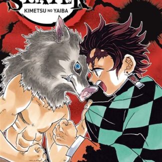 Demon Slayer T4: Kimetsu no yaiba