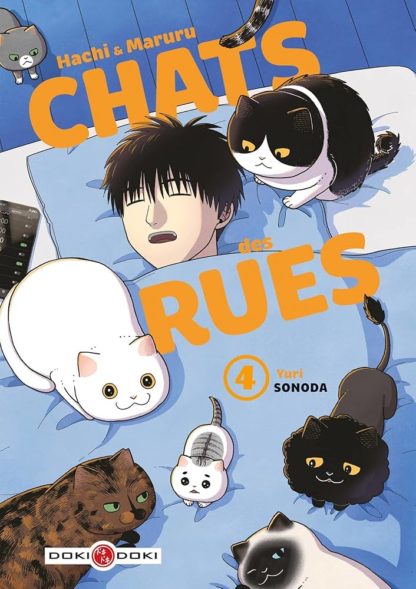 Hachi et Maruru Chats des Rues T4