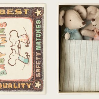 Jumeaux bébés souris dans la boîte