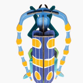 Art mural: Rosalia Beetle