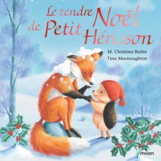 Le tendre Noël de petit hérisson