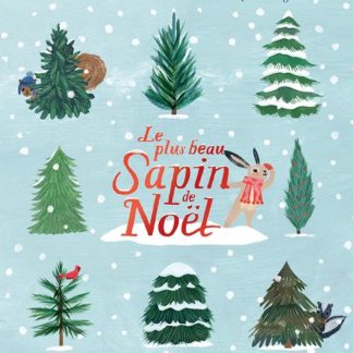 Le plus beau sapin de Noël
