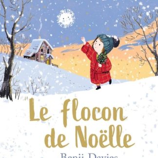 Le flocon de Noëlle (tout carton)