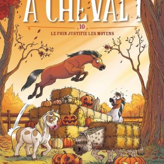 A cheval T10: le foin justifie les moyens