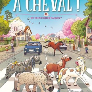 A cheval T11: où vous étrier passés