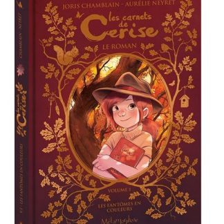 Les carnets de Cerise Le roman T1