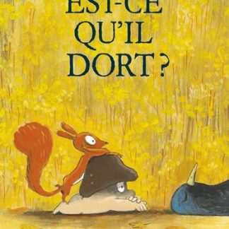Est-ce qu'il dort?