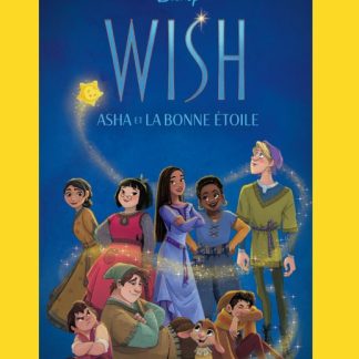 Carte à histoire: Wish, Asha et la bonne étoile