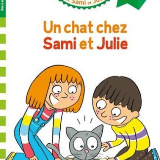 Un chat chez Sami et Julie