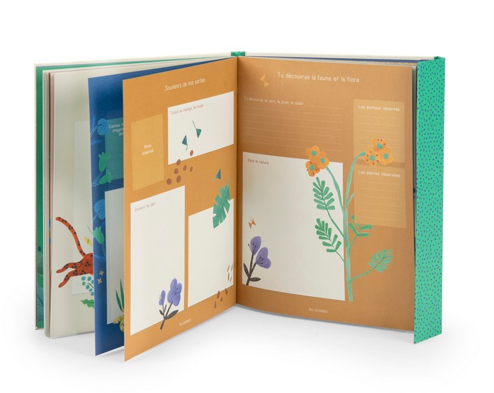 Livre de naissance La forêt Mawa – Image 2