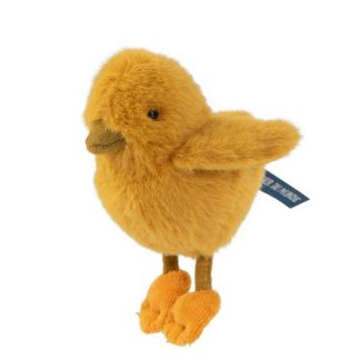 Poussin Tout autour du monde