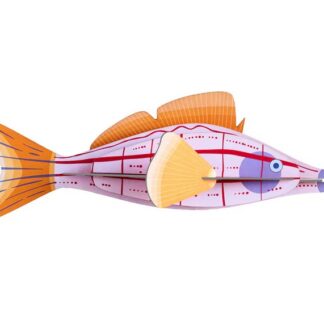 Art mural: Longnose Hawkfish