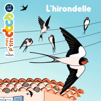 P'tits docs: l'hirondelle