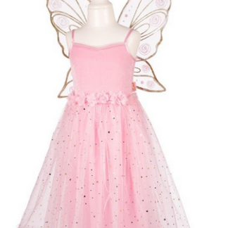 Déguisement robe Rosyanne + ailes 3/4 ans
