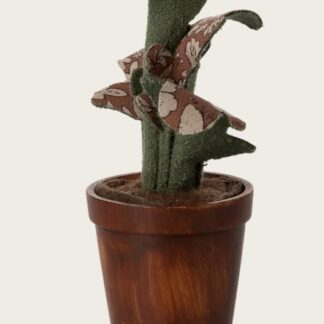Plante dans son pot