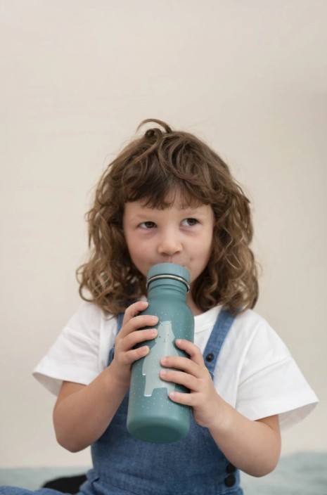Gourde métal 500ml: Monsieur Hippo – Image 3