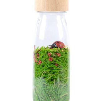 Bouteille sensorielle: Ladybirds
