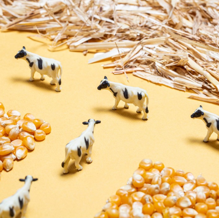 Bouteille sensorielle: farm – Image 3