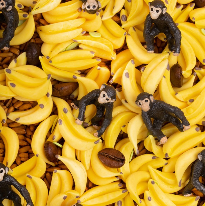 Bouteille sensorielle: Monkey – Image 4