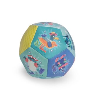 Ballon souple La mare aux grenouilles