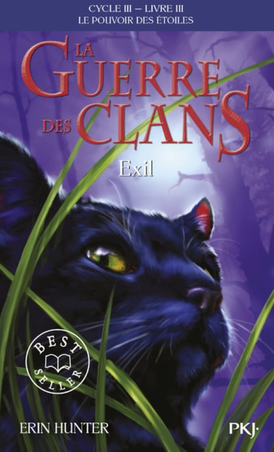 La guerre des clans Cycle 3 T3