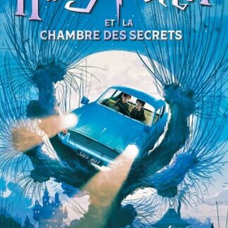 Carte à histoires: Harry Potter et la Chambre des Secrets